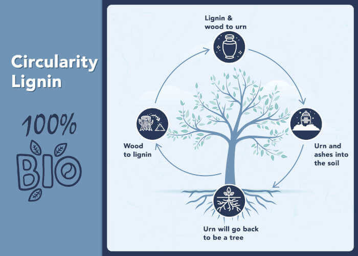 En Info Circularity Of Lignin Funeral Urn