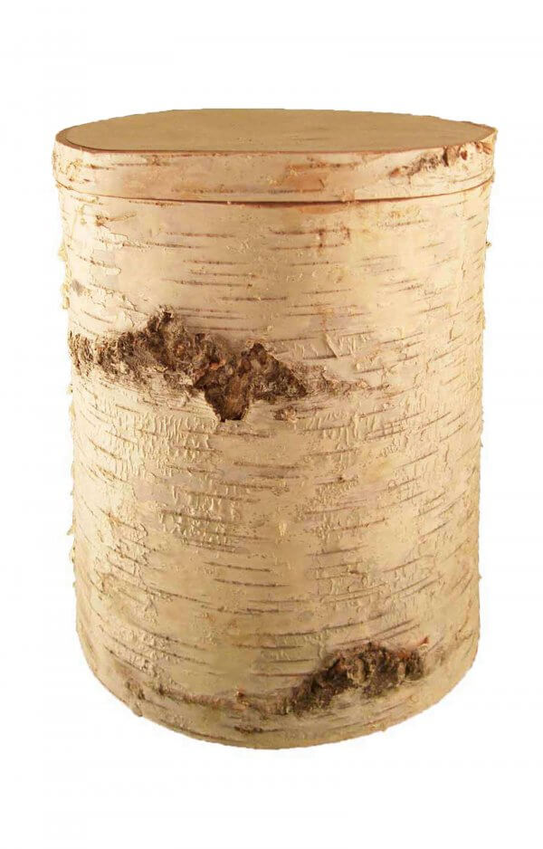 En H2209C Birch Tree Trunk Funeral Urn For Human Ashes