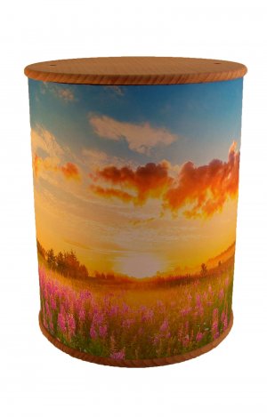 en ZB001 photo urn wildflower meadow funeral urns for human ashes