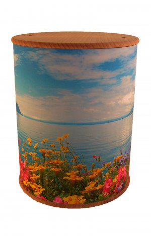 en ZB003 photo urn flowers lake blue white funeral urns on sale