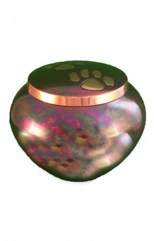 en TIB1542 multicoloured pawprint pet urn.jpg