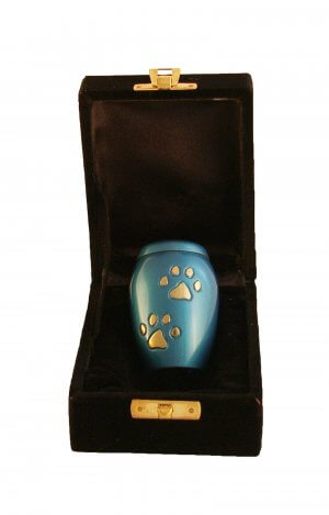 en TIB6048S sky blue with gold pawprints pet urn jpg