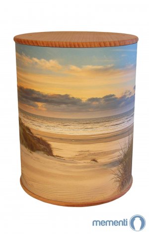 Serene Biodegradable Photo Urn With Calming Photo Visuals