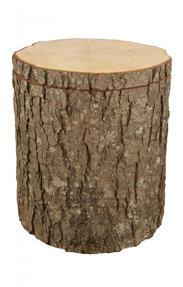 Acacia Tree Trunk Urn