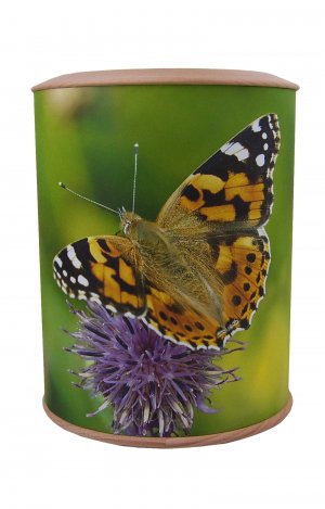 biodegradable photo urn with butterfly