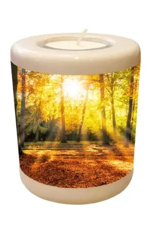 Memorial light with autumn forest