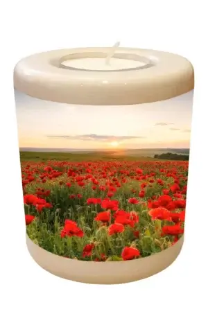 Memorial light with field of poppyflowers