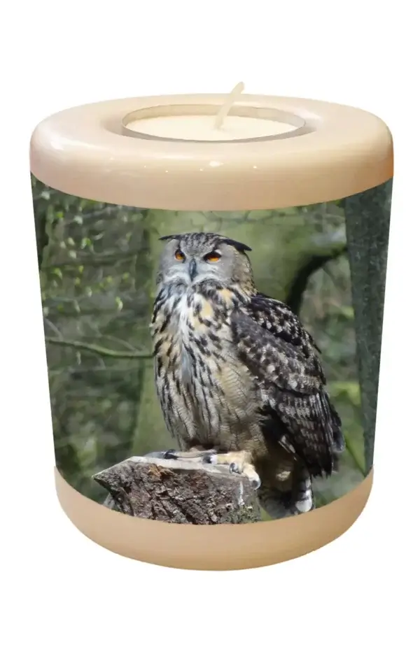 Memorial Light With Eagle Owl