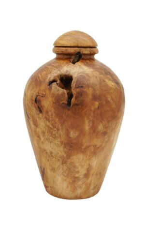 Root wood urn created from a single piece